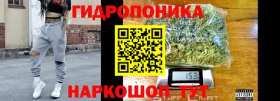 хмурый Кингисепп