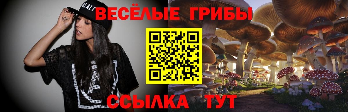 Галлюциногенные грибы Magic Shrooms Кузнецк